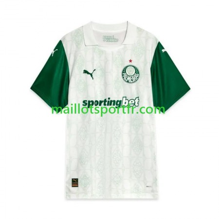 Maillot de Foot Palmeiras Exterieur 2025